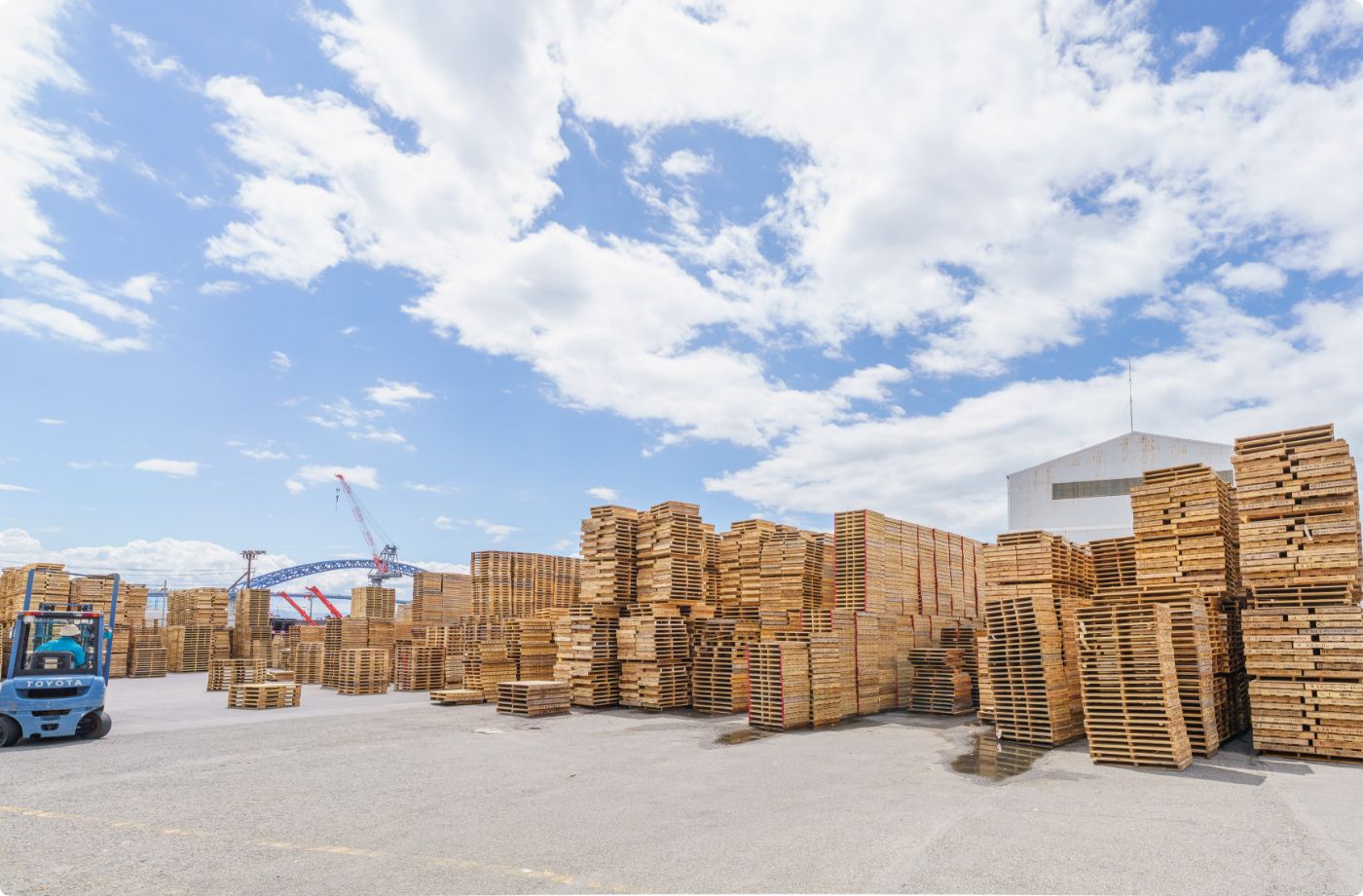屋外に積まれたパレットとフォークリフト